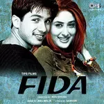 Dil Mere Naa-cover