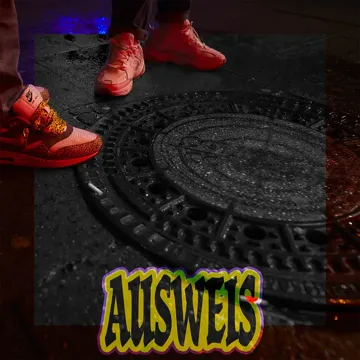 Ausweis-cover