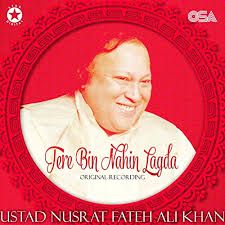 Tere Bin Nahin Lagda-cover