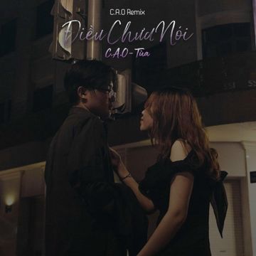 Điều Chưa Nói (C.A.O Remix)-cover