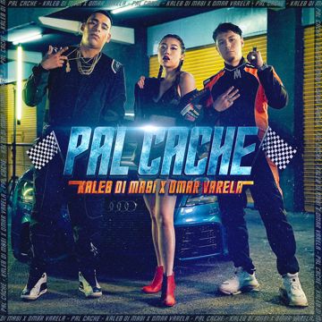 Pal Cache-cover