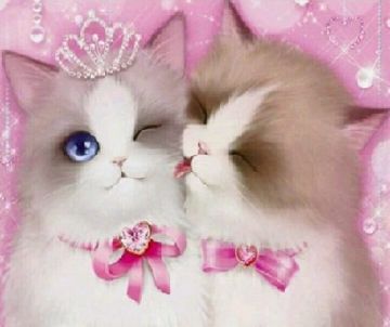 coveImg