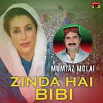 Ajj Bhi Bhutta Tokhey-cover