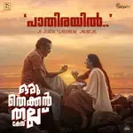 Paathirayil (From &quot;Oru Thekkan Thallu Case&quot;)-cover