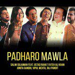Padharo Mawla-cover