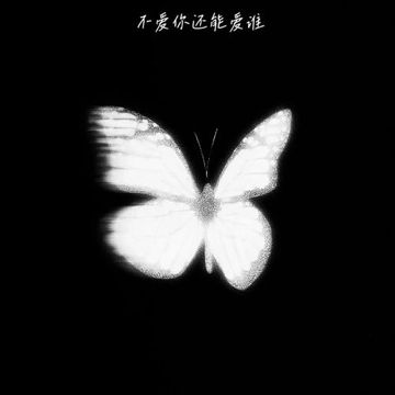 不爱你还能爱谁-cover