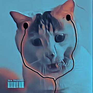 coveImg