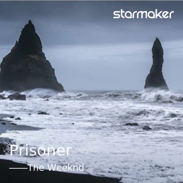 Prisoner-cover