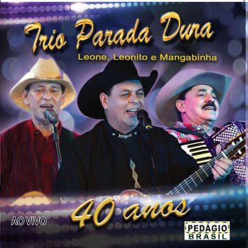 Avião das Nove-cover