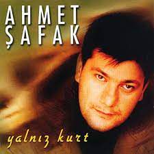 Yalnız Kurt-cover