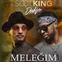 Melegim-cover
