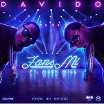 Fans Mi-cover
