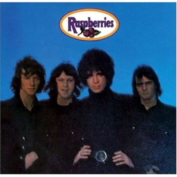 raspberries-partys-over-cover-image
