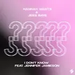 I Don&039;t Know (feat. Jennifer Jamieson)-cover
