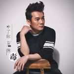 中了你的毒-cover