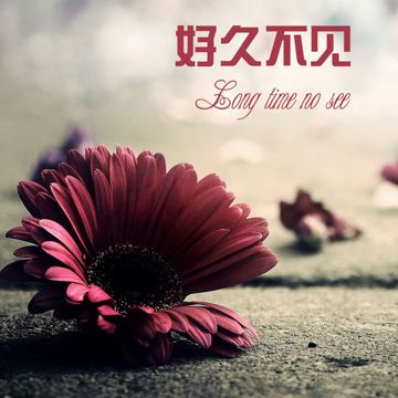 好久不见-cover