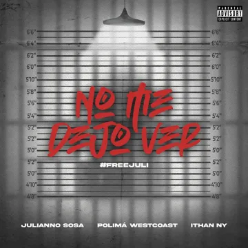 No Me Dejo Ver-cover