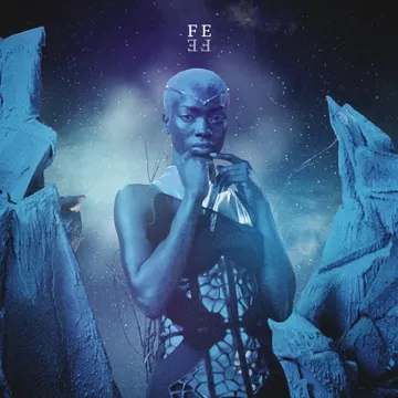Fe-cover