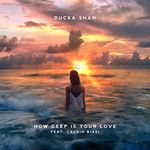 How Deep Is Your Love-cover