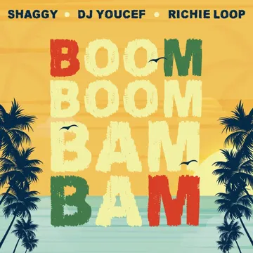 Boom Boom Bam Bam-cover