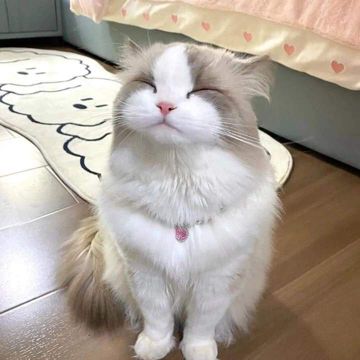 coveImg