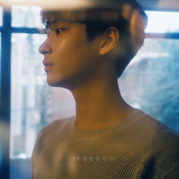 똑같았을거야 (Feat. Chan)-cover