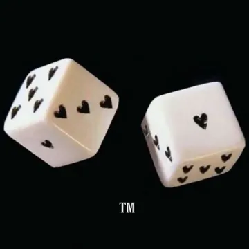 Rosa 2-cover