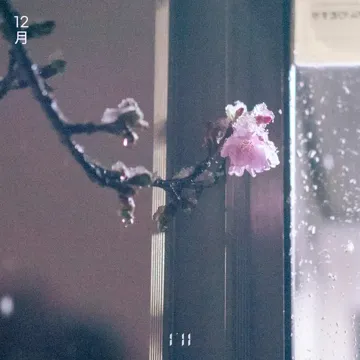 Hate December-cover