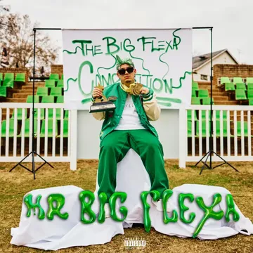 Big Flexa-cover
