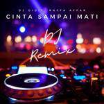 Cinta Sampai Mati (Remix)-cover