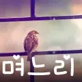 며느리-cover