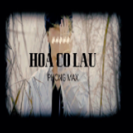 Hoa Cỏ Lau-cover