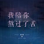 我陪你熬过了苦-cover