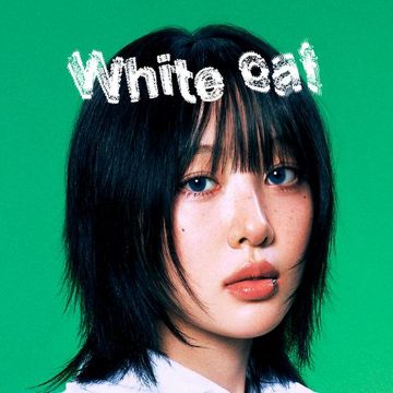 White cat-cover