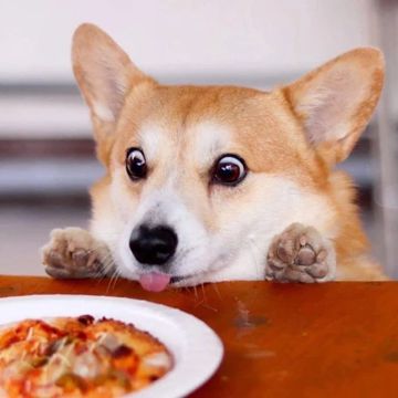 coveImg