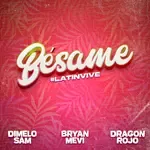 Bésame LatinVive-cover