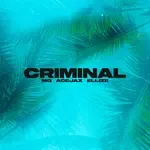 Criminal-cover