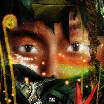 Jungle Mafia-cover