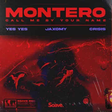MONTERO (Call Me By Your Name)-cover