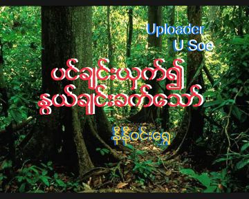 ပင္ခ်င္းယွက္၍ႏြယ္ခ်င္းခက္ေသာ္ NiNiWinShwe