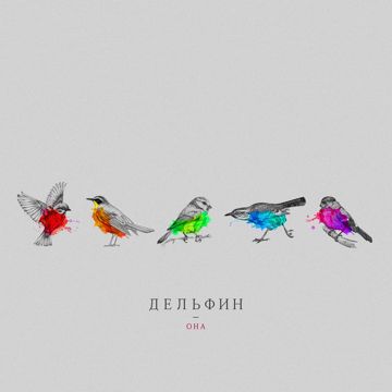 Dolphin-cover