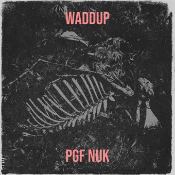 Waddup-cover