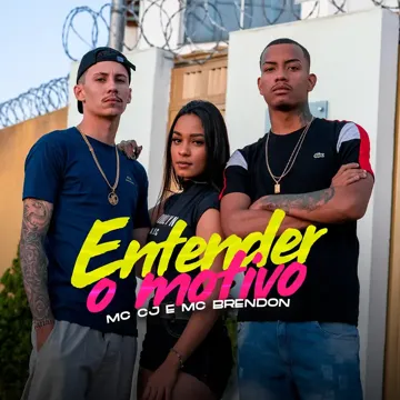 Entender o Motivo-cover