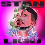 Ligo-cover