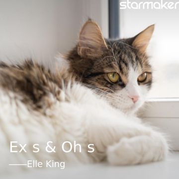 Ex's & Oh's-cover