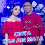 Cinta Dan Air Mata-cover