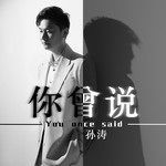 你曾说-cover