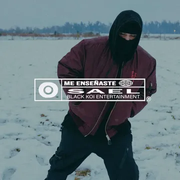 Me Enseñaste-cover