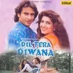 Din Dhal Gaya Hai Abto Jane-cover