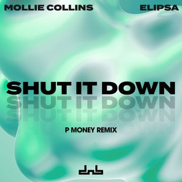 Shut It Down-cover